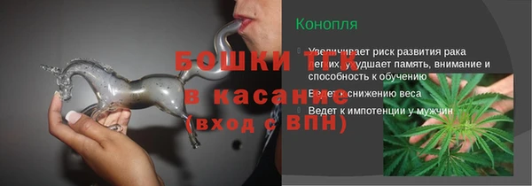 Альфа ПВП Аркадак