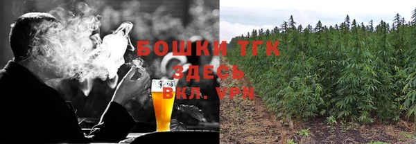 дживик Переславль-Залесский