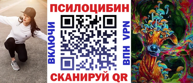 Псилоцибиновые грибы Psilocybe  kraken   Себеж  как найти  